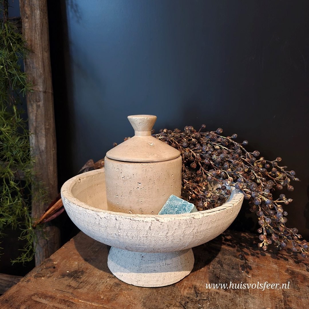 Pors schaal op voet - Afbeelding 5