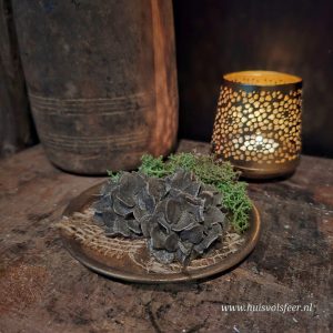 Marokkaanse Geurblokjes- Hortensia || Black Musk.