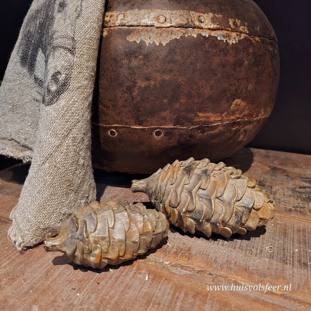 Dennenappel Bruin- Maat M - Afbeelding 3