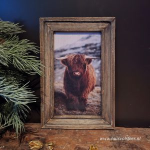 Houten lijst- Schotse Hooglander in de wei || 20xH30 cm