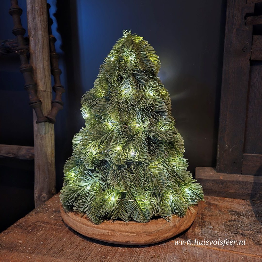 Schaal van paulownia hout || 28 cm - Afbeelding 2