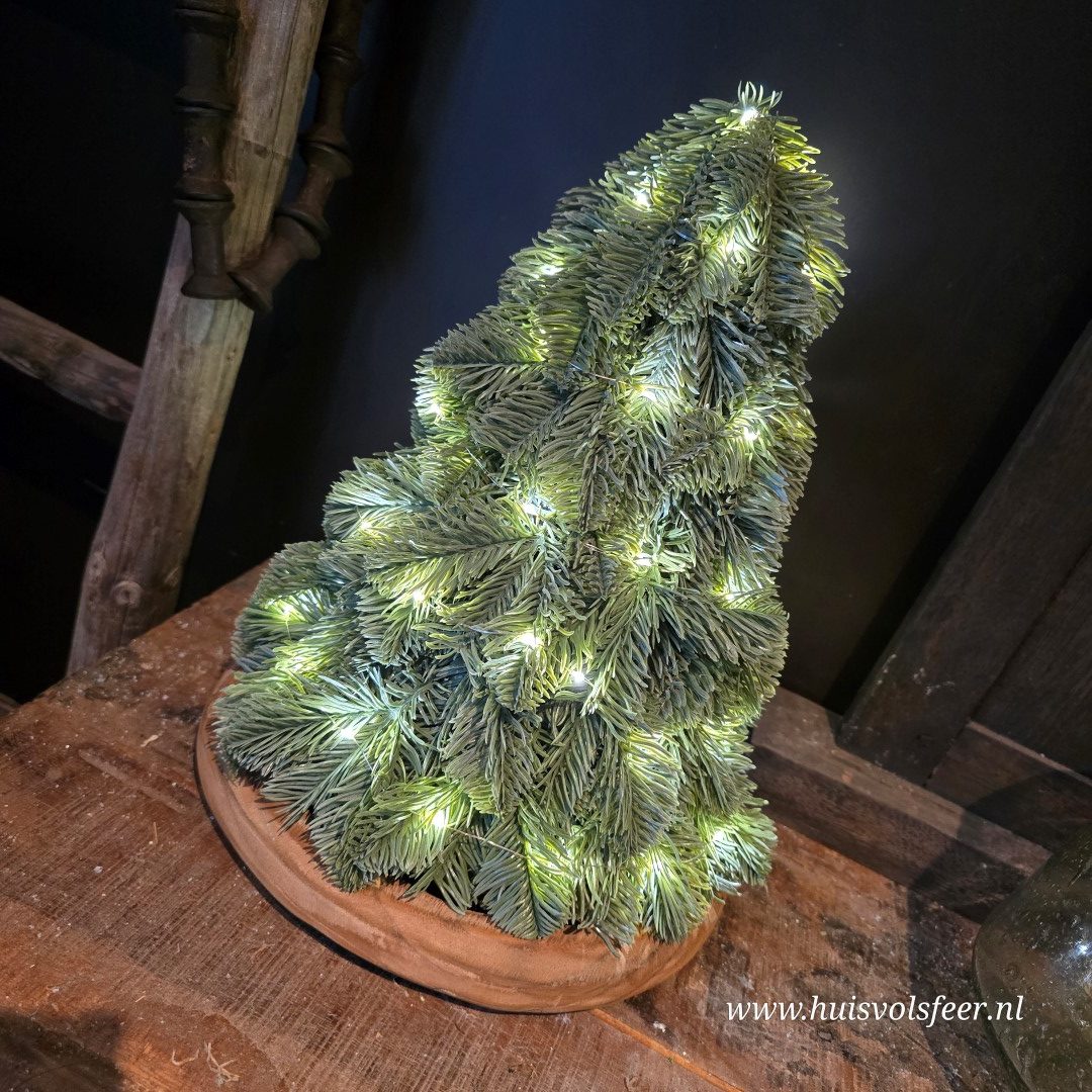 Schaal van paulownia hout || 28 cm - Afbeelding 3