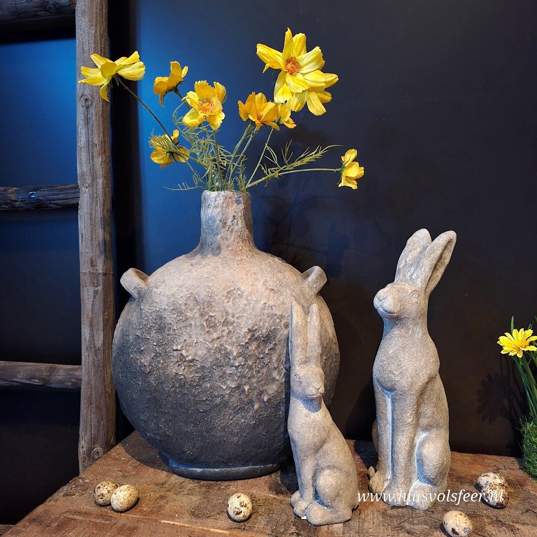 Cosmos Zijdetak- Voorjaarsbloem || 48 cm