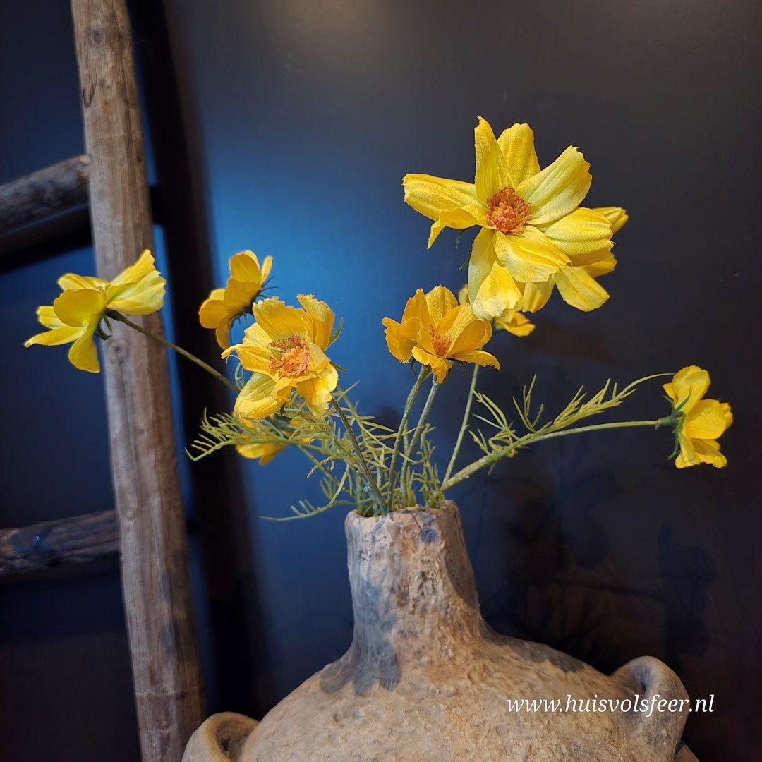 Cosmos Zijdetak- Voorjaarsbloem || 48 cm - Afbeelding 3