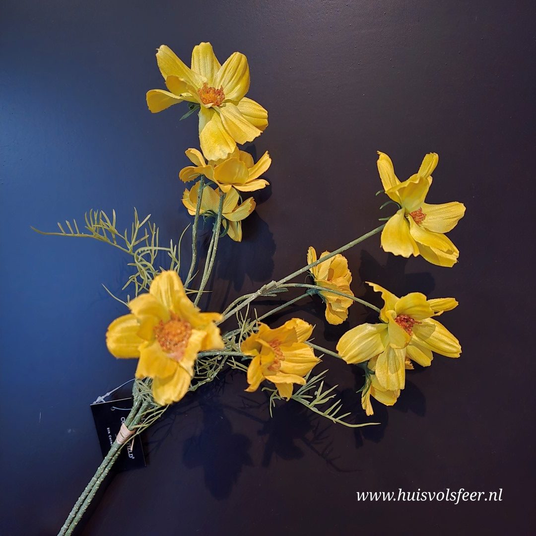 Cosmos Zijdetak- Voorjaarsbloem || 48 cm - Afbeelding 4
