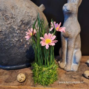 Cosmos- Graspotje || Licht Roze