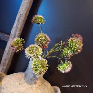 Allium- Fuchsia || Zijdetak