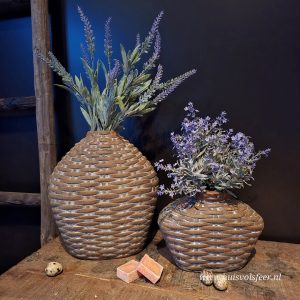 Lavendel Bush || Lavendula