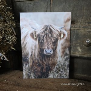 Foto kaart || Hooglander