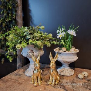 Vaas Robuust- L || 18 cm