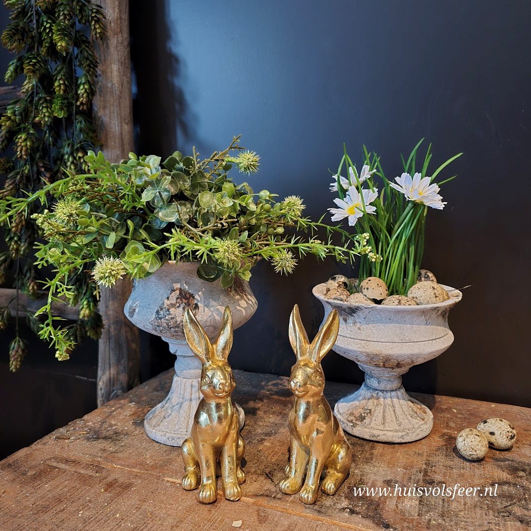 Vaas Robuust- L || 18 cm