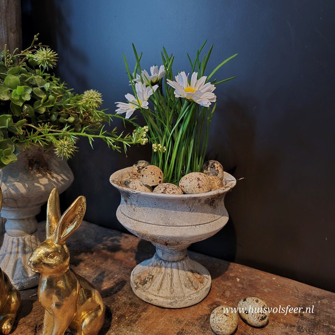 Vaas Robuust- M || 14 cm