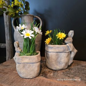 Bloempotje Haas Miley || 15 cm