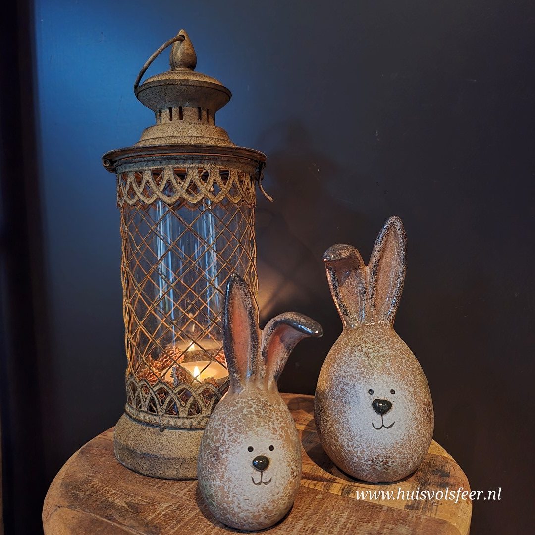 Haas Bizzey || 15 cm - Afbeelding 2