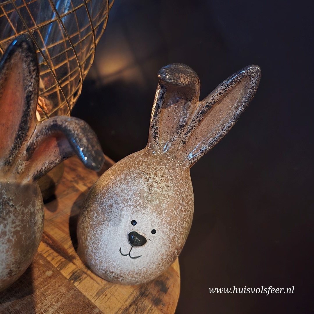 Haas Bizzey || 15 cm - Afbeelding 5