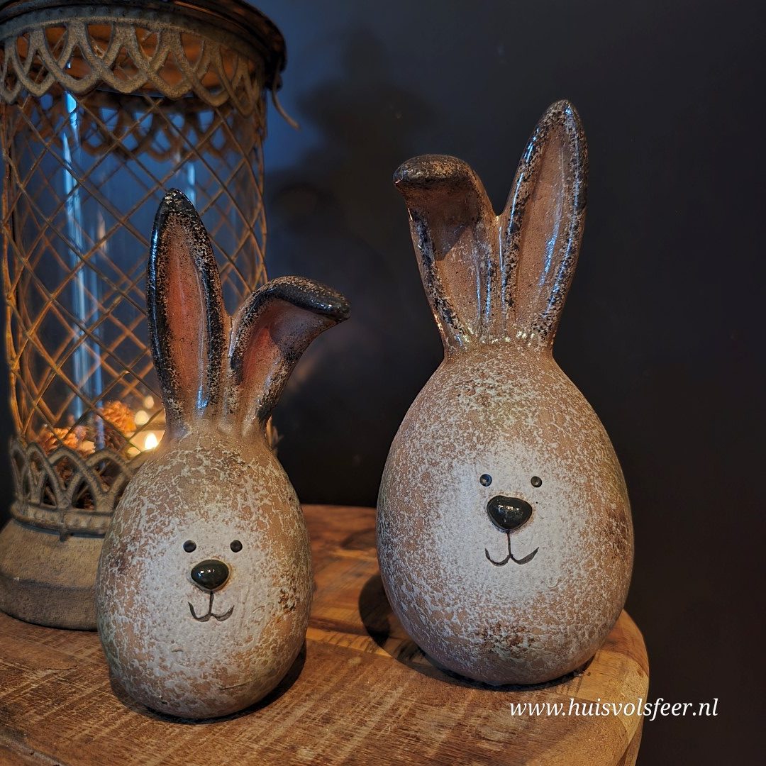 Haas Bizzey || 15 cm - Afbeelding 3