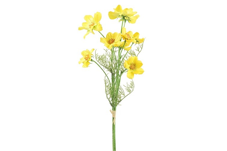 Cosmos Zijdetak- Voorjaarsbloem || 48 cm - Afbeelding 6