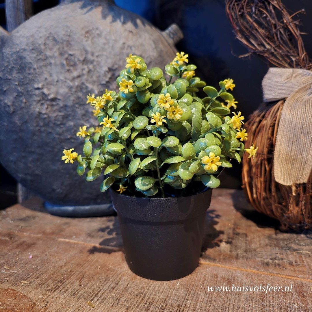Kunst Sierplantje met Gele Bloemetjes - Afbeelding 7