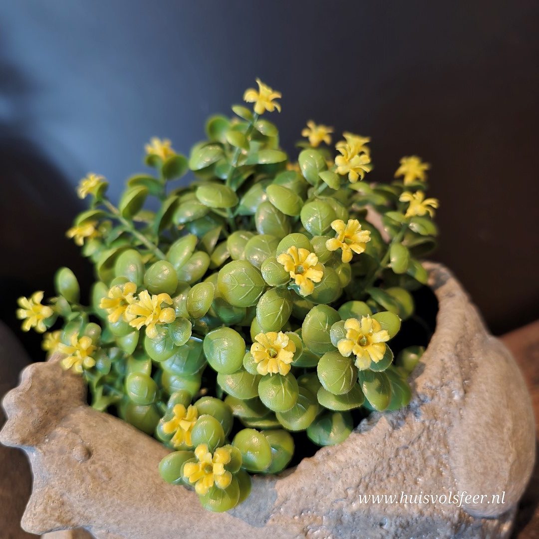 Kunst Sierplantje met Gele Bloemetjes - Afbeelding 6