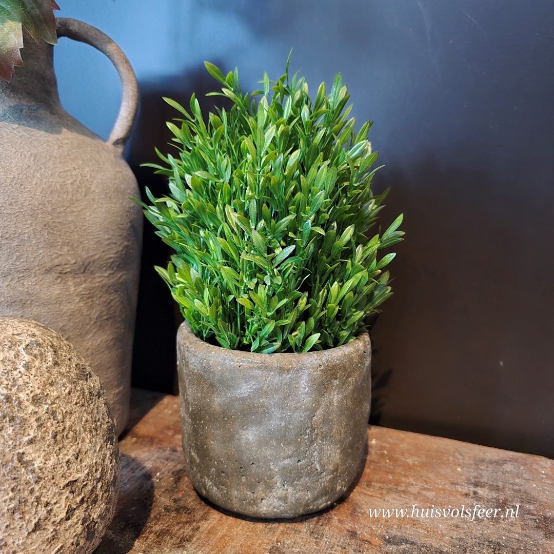 Kunstplantje Buxus || H25 cm.