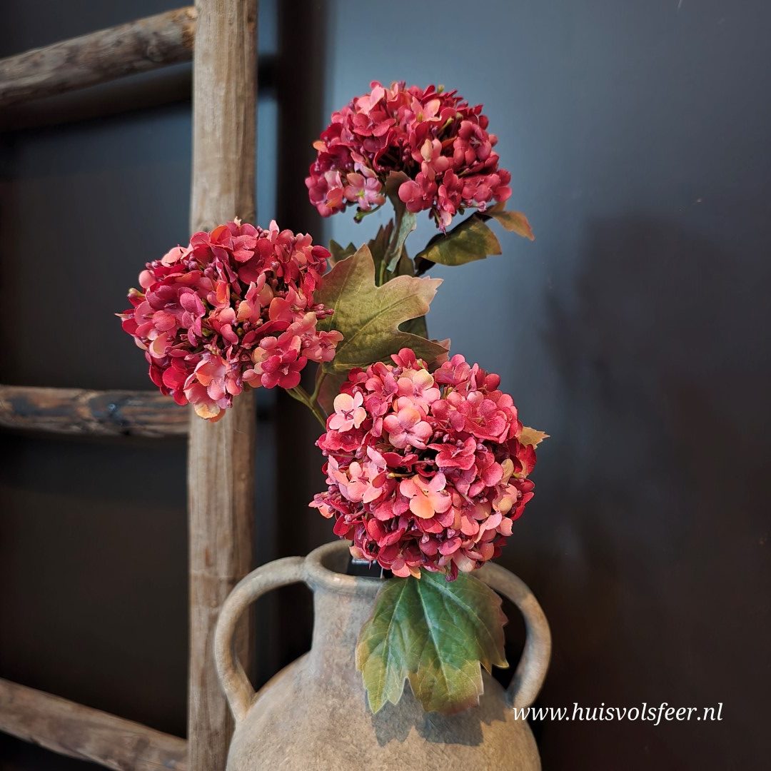 Viburnum- Zijdetak || Mauve