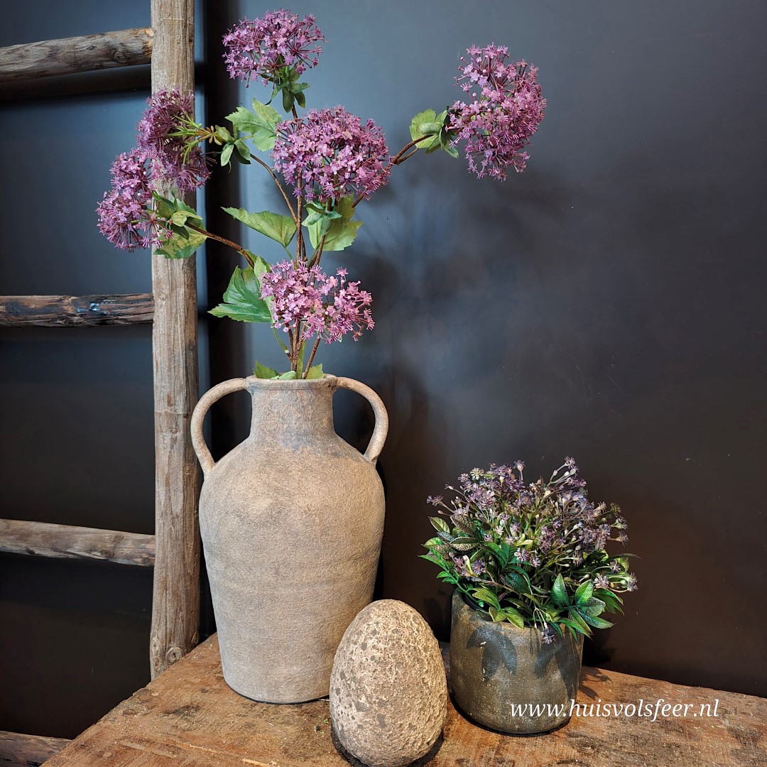 Viburnum- Zijdetak || Paars