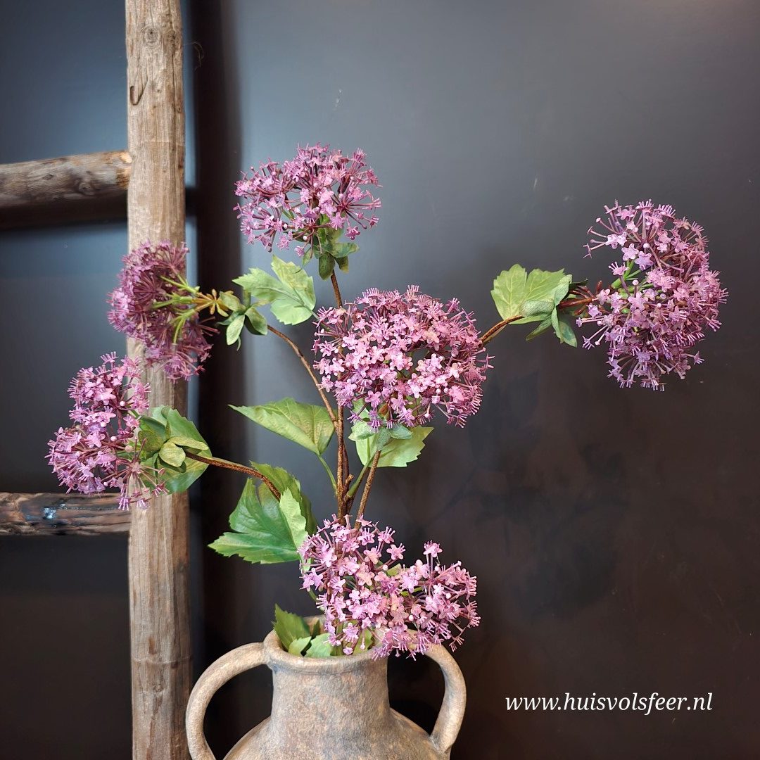 Viburnum- Zijdetak || Paars - Afbeelding 2