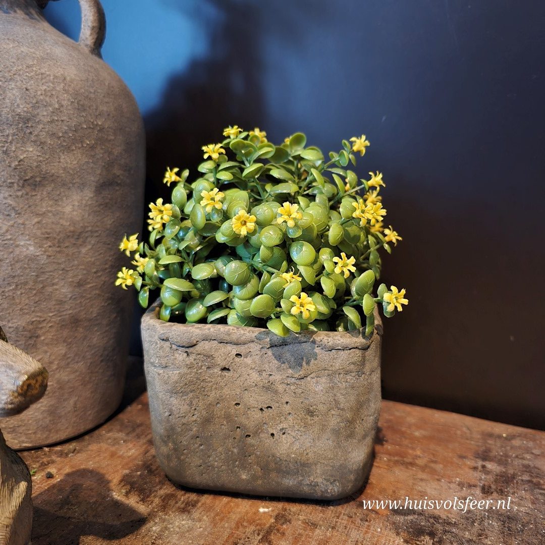 Kunst Sierplantje met Gele Bloemetjes - Afbeelding 3