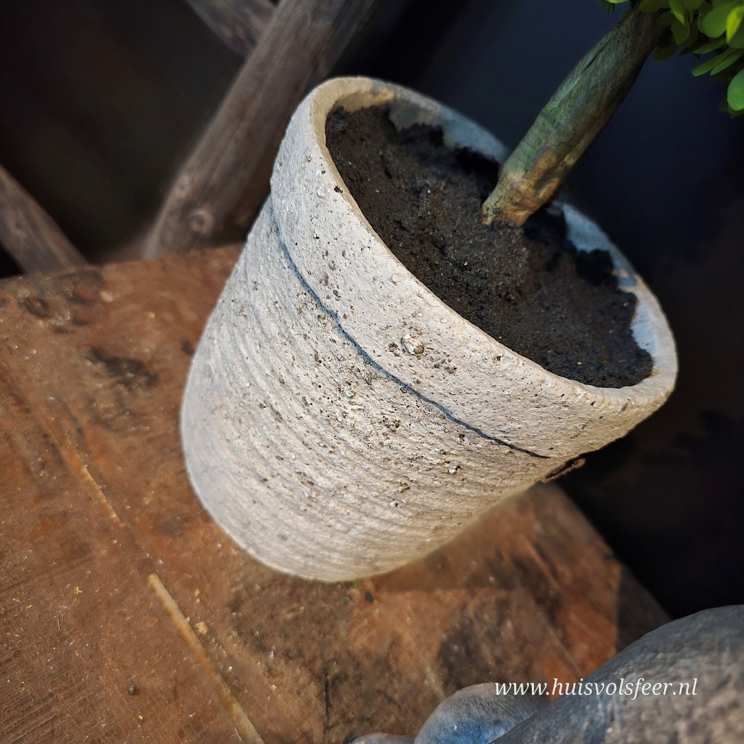 Buxus in Pot (kunst) || 76 cm - Afbeelding 4