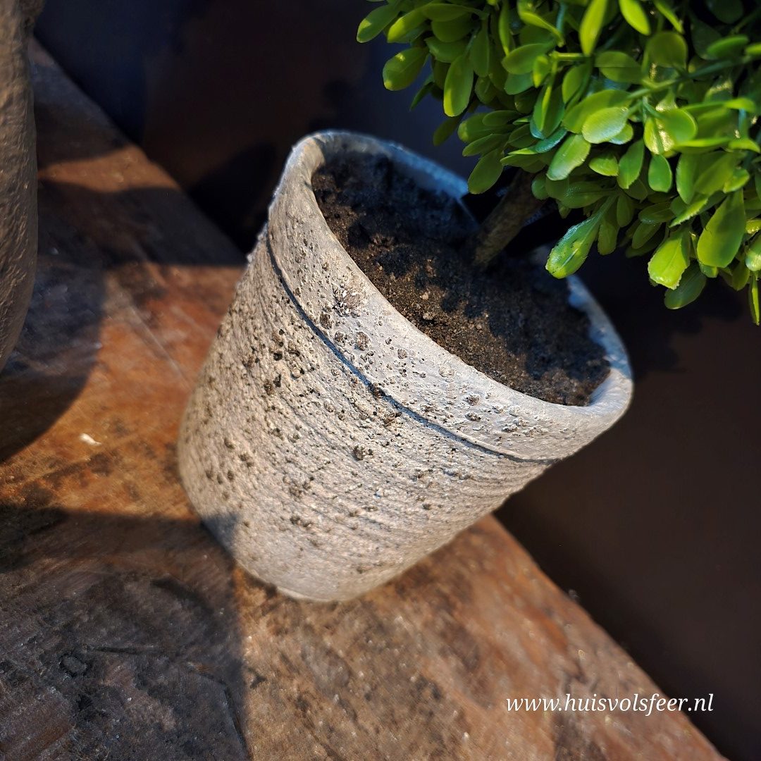 Buxus in Pot (kunst) || 56 cm - Afbeelding 4