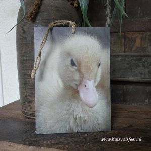 Houten bordje met touw || Eend.