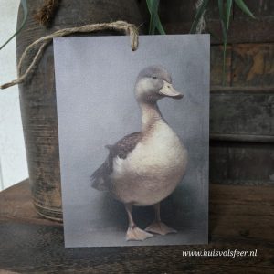 Houten bordje met touw || Eendje