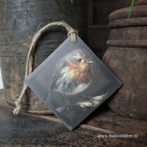 Deco Hanger || Roodborstje