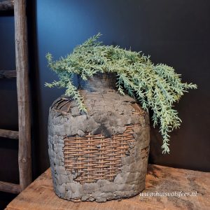 Aspargus Hanger/ Toef || 53 cm