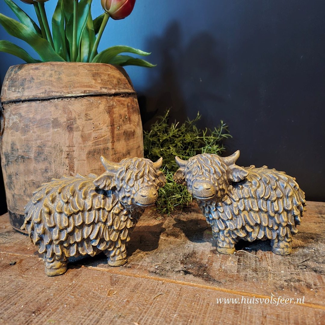 Set van 2 Hooglanders || Bruin