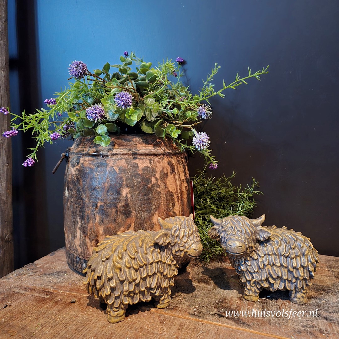 Set van 2 Hooglanders || Bruin - Afbeelding 3