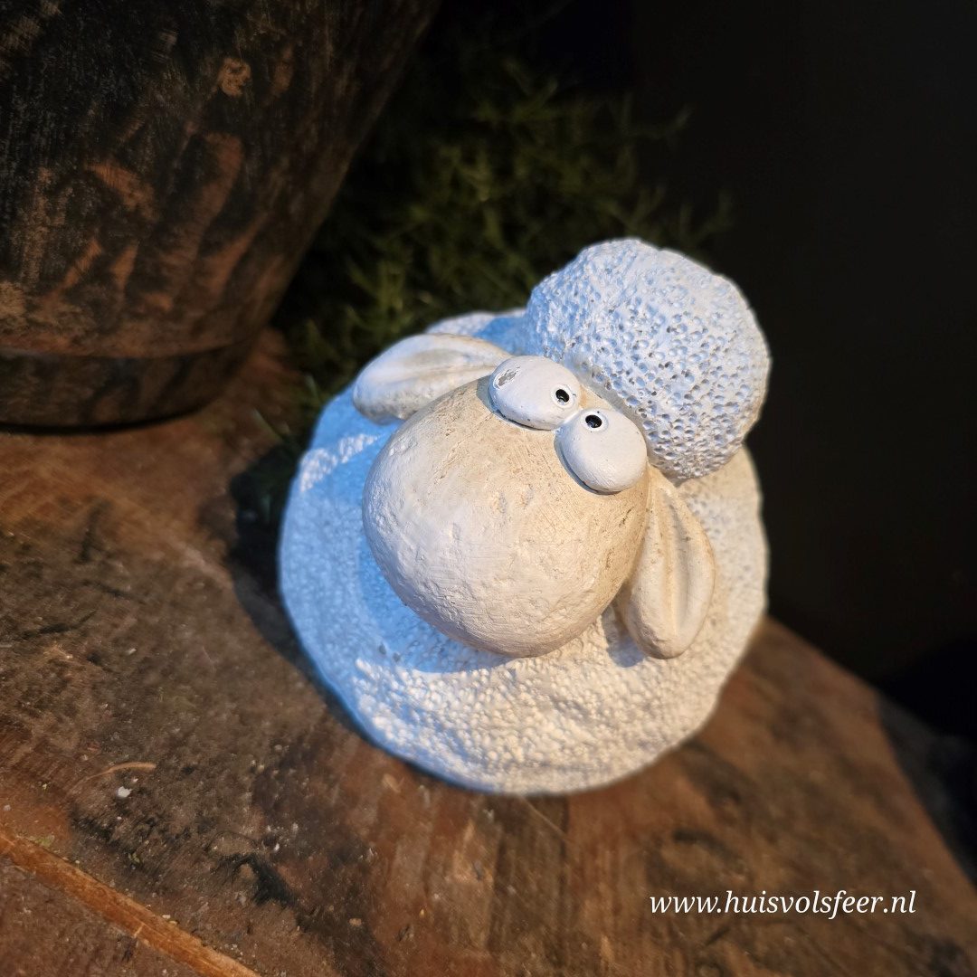 Schaapje Wolly - Afbeelding 3