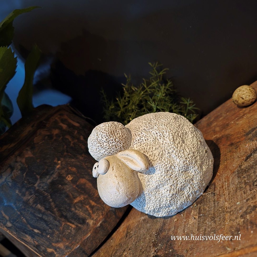 Schaapje Wolly - Afbeelding 4