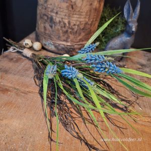 Bundel Blauwe Druifjes met Twijgtakjes