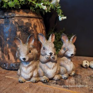 Haasjes “horen, zien, zwijgen” || Naturel