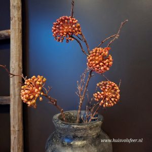 Helix Bessentak- Zijdetak || Donkerroze