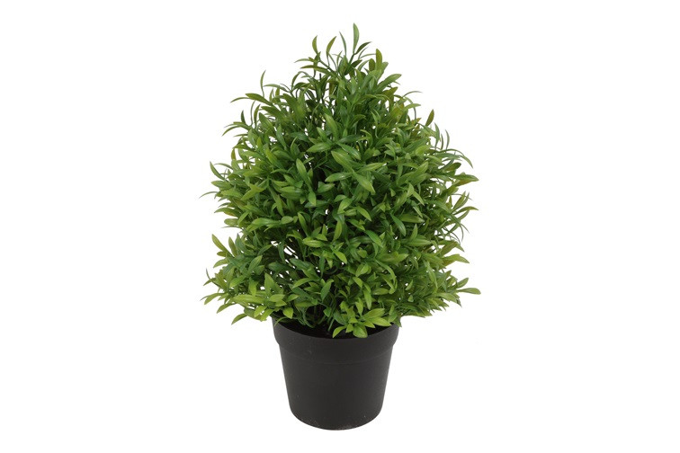 Kunstplantje Buxus || H25 cm. - Afbeelding 5