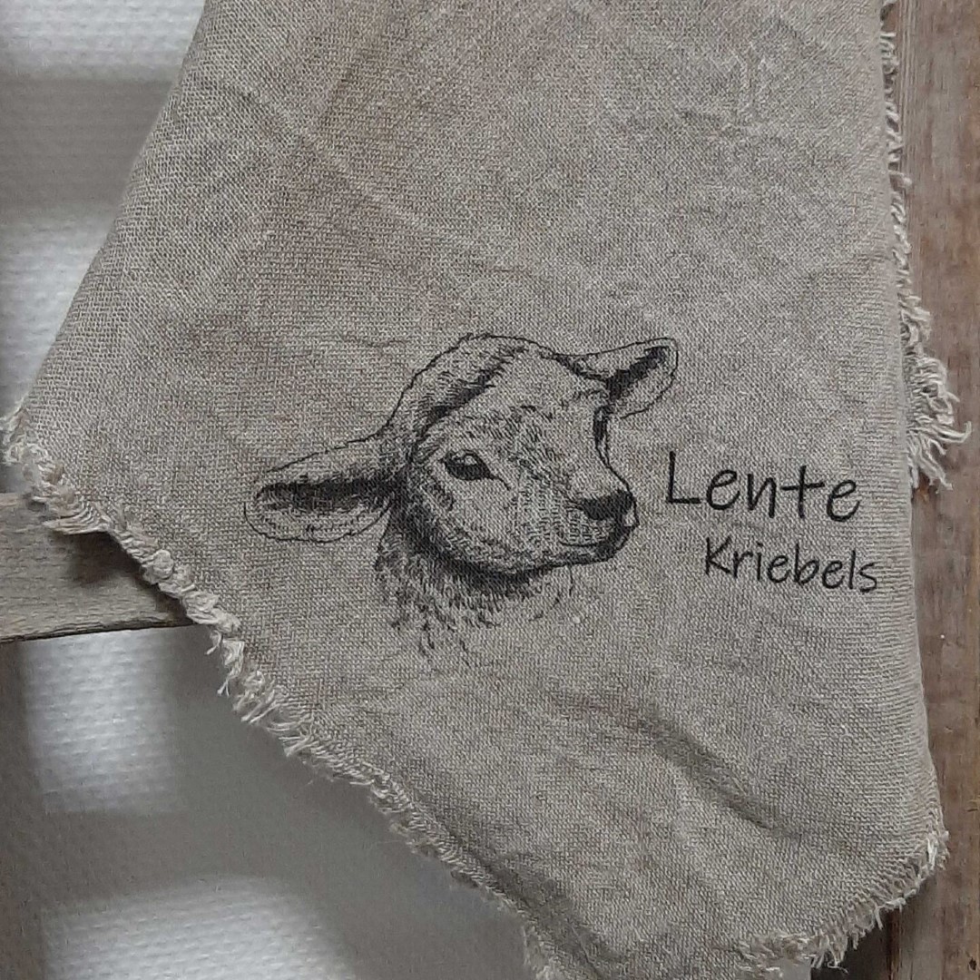 Linnen Shabby Doek New || Lente Kriebels - Afbeelding 4