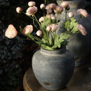 Bolvase Allure- Ancient Clay || Brynxz