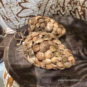 Decoratieve Cone Pods- Nature