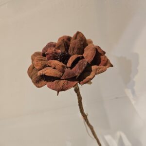 Decoratieve Tak Naturel || Landlotus