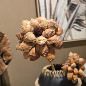 Decoratieve Tak Naturel || Beetal pod Flower