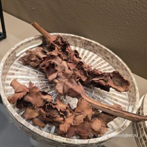 Gedroogde Palm Sticks Naturel || Set van 3