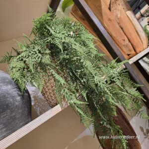 Varen Hanger Groen (kunst) || Leaf Bush