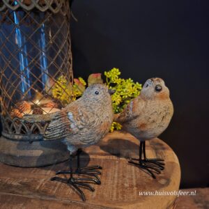 Decoratie Vogel || Tommy